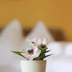 דירה Karawankenblick 3*