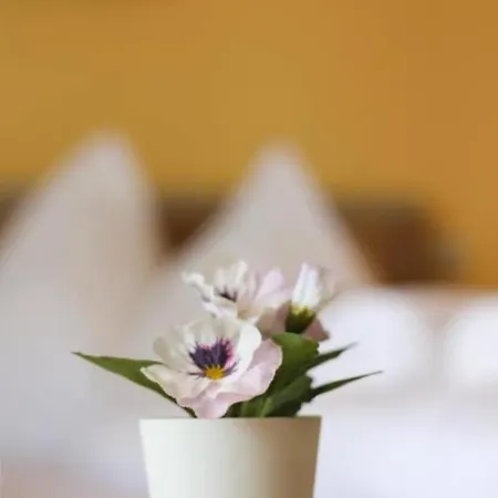 شقة Karawankenblick 4*